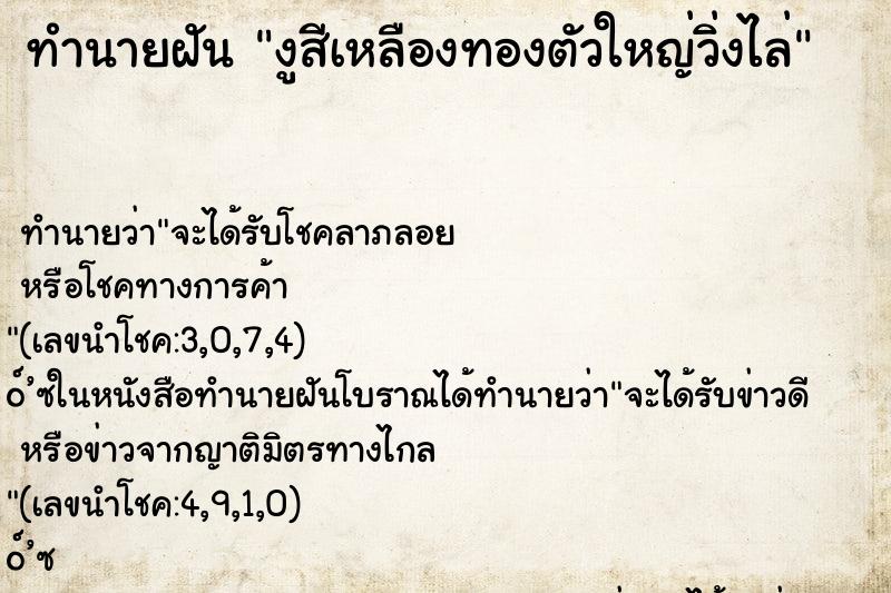 ทำนายฝัน งูสีเหลืองทองตัวใหญ่วิ่งไล่ ทำนายฝัน งูสีเหลืองทองตัวใหญ่วิ่งไล่