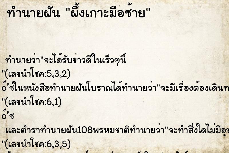 ทำนายฝัน ผึ้งเกาะมือซ้าย ทำนายฝัน ผึ้งเกาะมือซ้าย