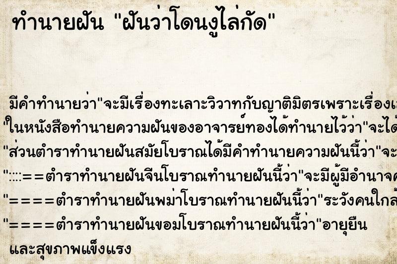 ทำนายฝันฝันว่าโดนงูไล่กัด ทำนายฝันทำนายฝันฝันว่าโดนงูไล่กัด