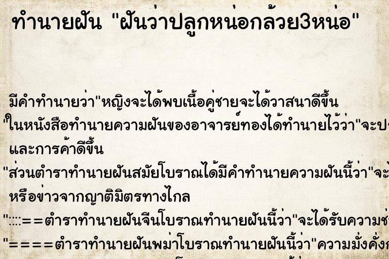 ทำนายฝัน ฝันว่าปลูกหน่อกล้วย3หน่อ ทำนายฝัน ฝันว่าปลูกหน่อกล้วย3หน่อ
