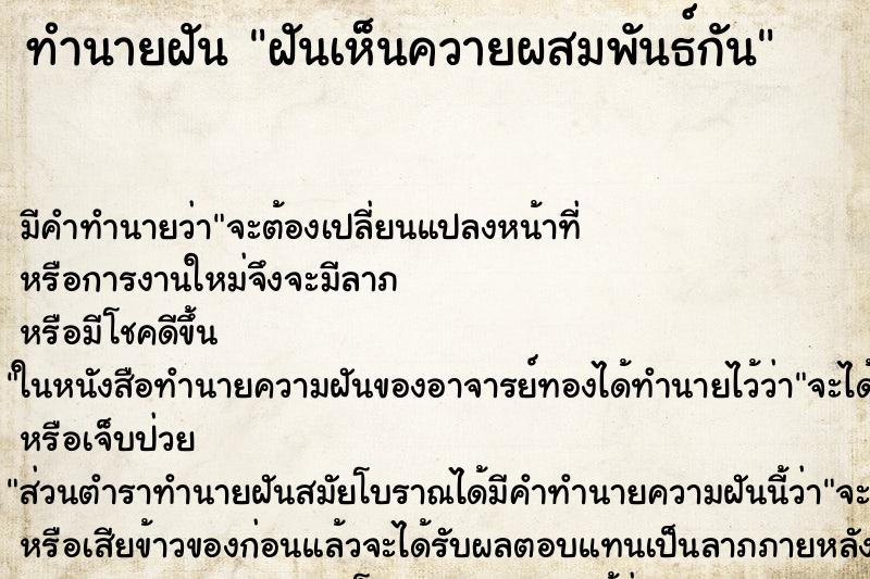 ทำนายฝัน ฝันเห็นควายผสมพันธ์กัน ตำราโบราณ แม่นที่สุดในโลก