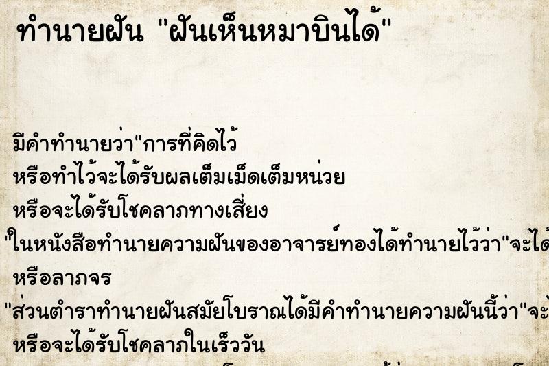 ทำนายฝัน ฝันเห็นหมาบินได้ ทำนายฝัน ฝันเห็นหมาบินได้