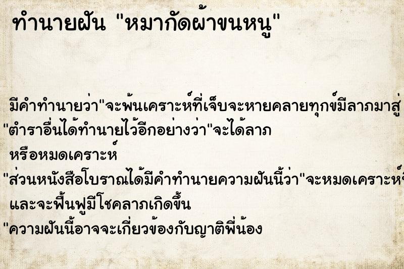 ทำนายฝัน หมากัดผ้าขนหนู ทำนายฝัน หมากัดผ้าขนหนู