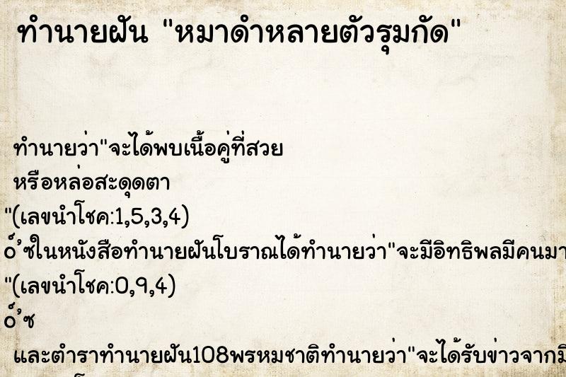 ทำนายฝันหมาดำหลายตัวรุมกัด ทำนายฝันทำนายฝันหมาดำหลายตัวรุมกัด