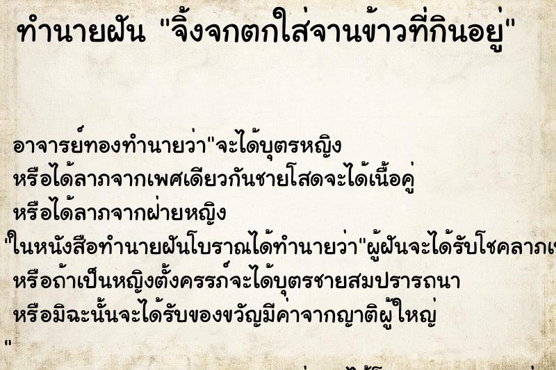 ทำนายฝันทำนายฝันจิ้งจกตกใส่จานข้าวที่กินอยู่
