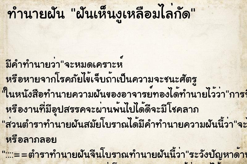 ทำนายฝัน ฝันเห็นงูเหลือมไล่กัด ทำนายฝัน ฝันเห็นงูเหลือมไล่กัด