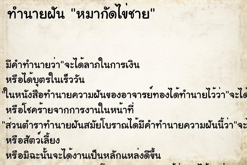 ทำนายฝัน หมากัดไข่ชาย ทำนายฝัน หมากัดไข่ชาย