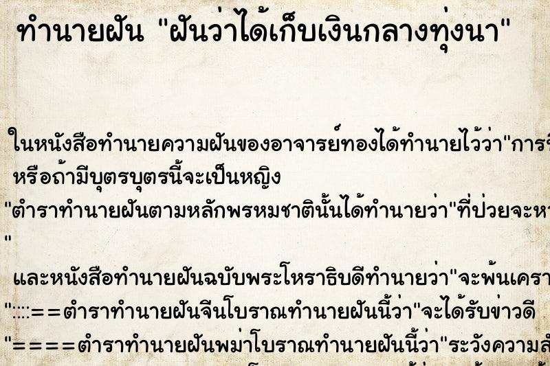 ทำนายฝันฝันว่าได้เก็บเงินกลางทุ่งนา ทำนายฝันทำนายฝันฝันว่าได้เก็บเงินกลางทุ่งนา