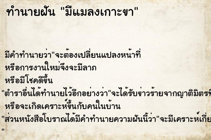ทำนายฝันทำนายฝันมีแมลงเกาะขา