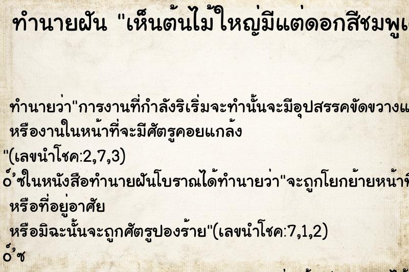 ทำนายฝัน เห็นต้นไม้ใหญ่มีแต่ดอกสีชมพูเต็มต้น ทำนายฝัน เห็นต้นไม้ใหญ่มีแต่ดอกสีชมพูเต็มต้น