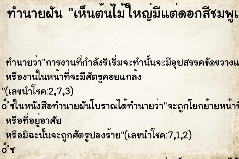 ทำนายฝัน เห็นต้นไม้ใหญ่มีแต่ดอกสีชมพูเต็มต้น ตำราโบราณ แม่นที่สุดในโลก