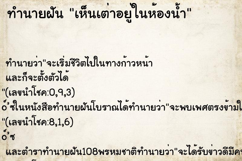 ทำนายฝันเห็นเต่าอยู่ในห้องน้ำ ทำนายฝันทำนายฝันเห็นเต่าอยู่ในห้องน้ำ