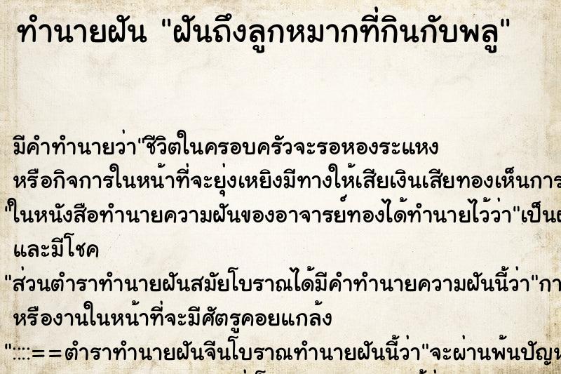 ทำนายฝัน ฝันถึงลูกหมากที่กินกับพลู ทำนายฝัน ฝันถึงลูกหมากที่กินกับพลู