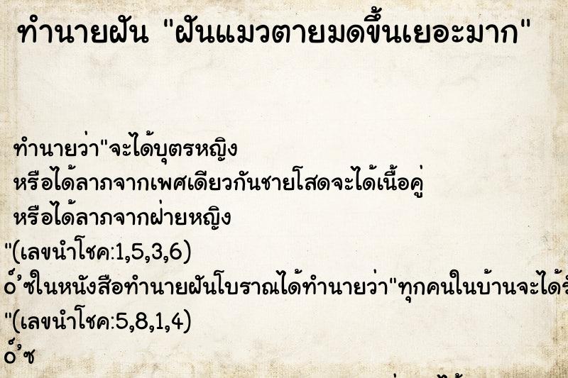 ทำนายฝันทำนายฝันฝันแมวตายมดขึ้นเยอะมาก