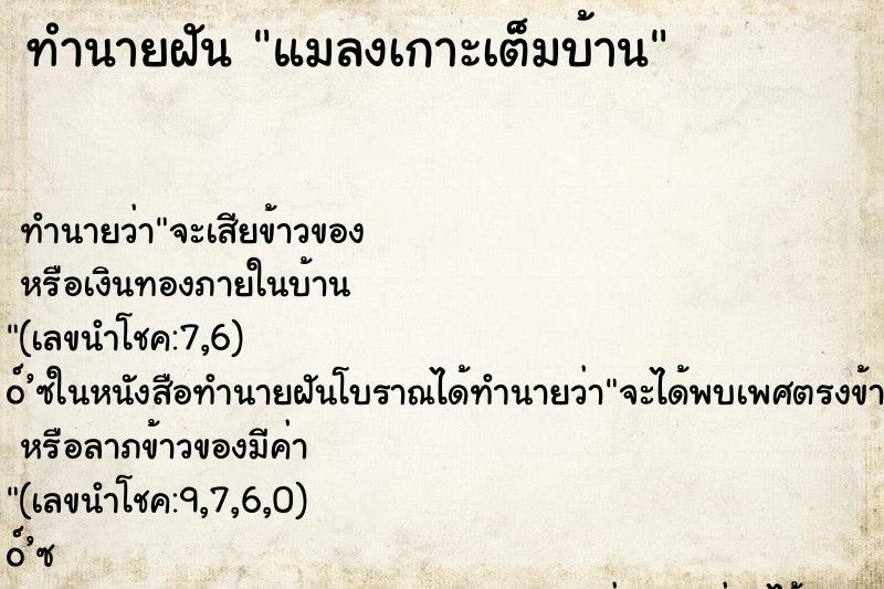 ทำนายฝันทำนายฝันแมลงเกาะเต็มบ้าน