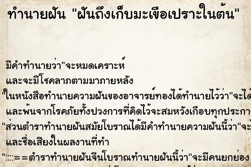 ทำนายฝันฝันถึงเก็บมะเขือเปราะในต้น ทำนายฝันทำนายฝันฝันถึงเก็บมะเขือเปราะในต้น