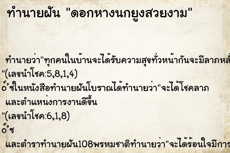 ทำนายฝันดอกหางนกยูงสวยงาม ทำนายฝันทำนายฝันดอกหางนกยูงสวยงาม