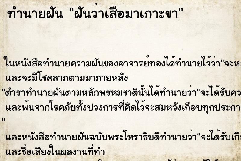 ทำนายฝันฝันว่าเสือมาเกาะขา ทำนายฝันทำนายฝันฝันว่าเสือมาเกาะขา