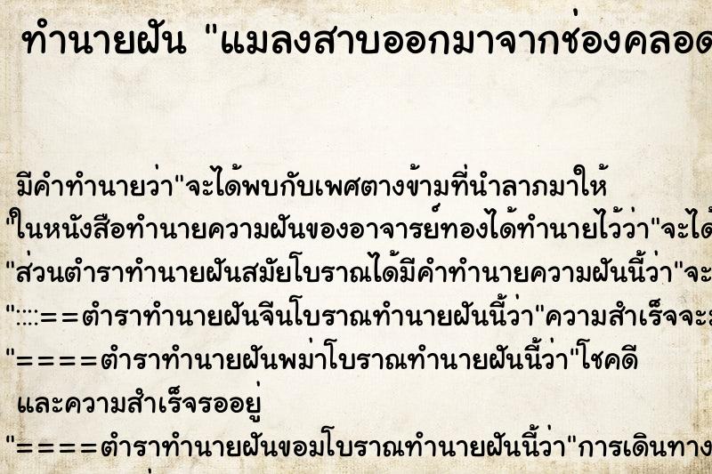 ทำนายฝัน แมลงสาบออกมาจากช่องคลอดเยอะมาก ตำราโบราณ แม่นที่สุดในโลก