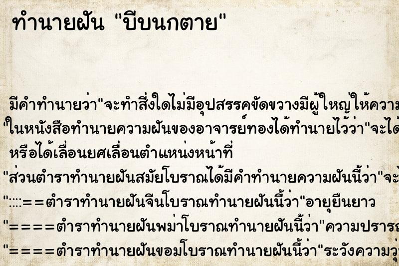 ทำนายฝัน บีบนกตาย ทำนายฝัน บีบนกตาย