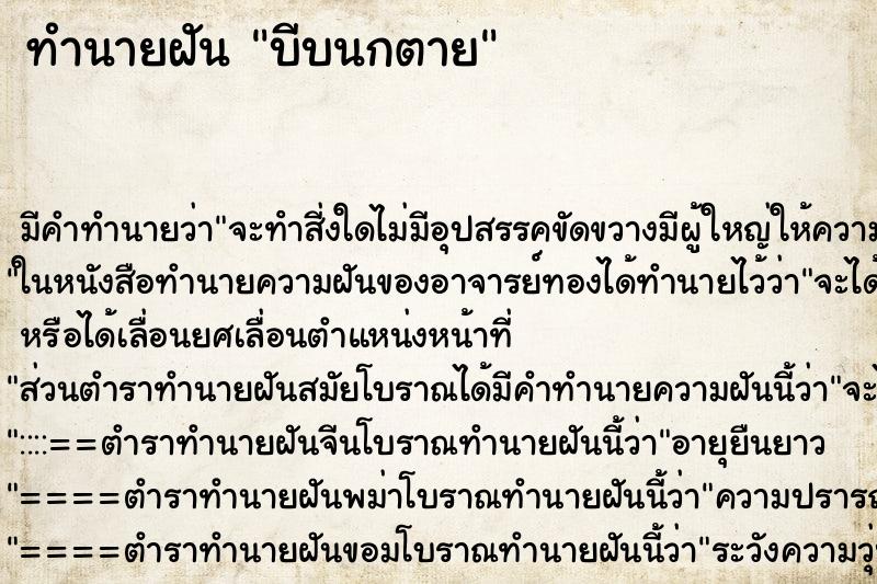 ทำนายฝัน บีบนกตาย ตำราโบราณ แม่นที่สุดในโลก