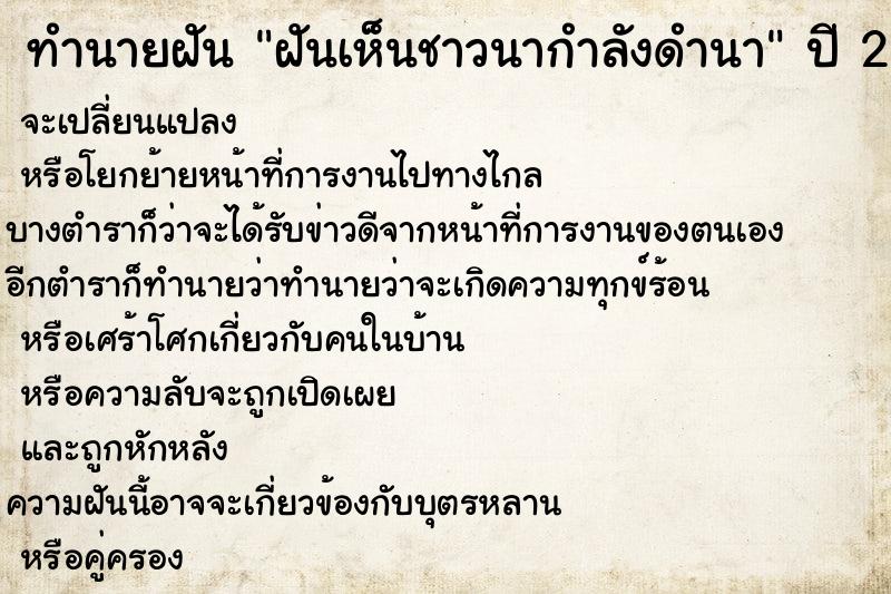 ทำนายฝันฝันเห็นชาวนากำลังดำนา ทำนายฝันทำนายฝันฝันเห็นชาวนากำลังดำนา