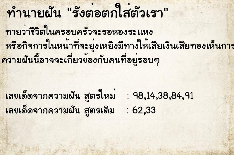 ทำนายฝัน รังต่อตกใส่ตัวเรา ทำนายฝัน รังต่อตกใส่ตัวเรา