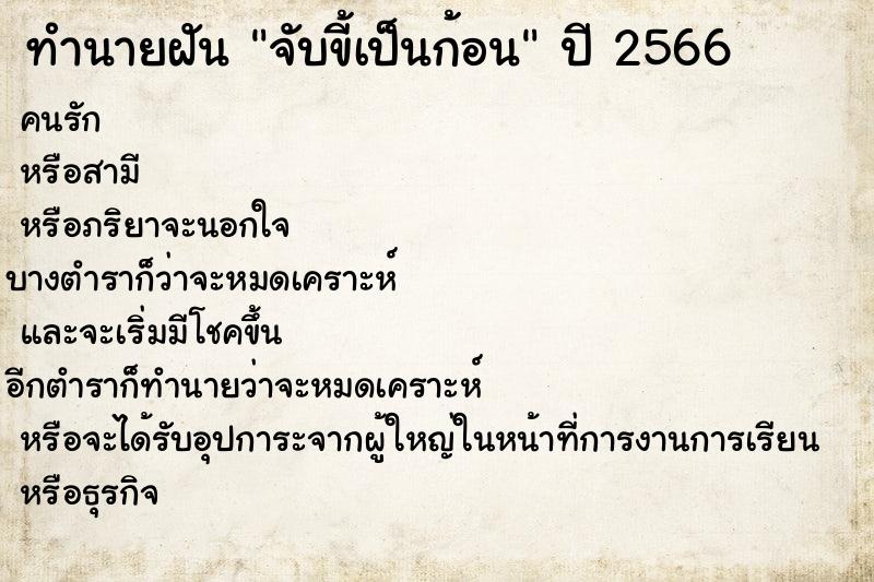 ทำนายฝันจับขี้เป็นก้อน ทำนายฝันทำนายฝันจับขี้เป็นก้อน