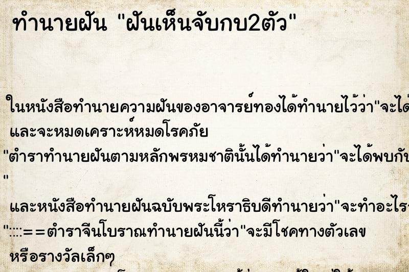 ทำนายฝันฝันเห็นจับกบ2ตัว ทำนายฝันทำนายฝันฝันเห็นจับกบ2ตัว