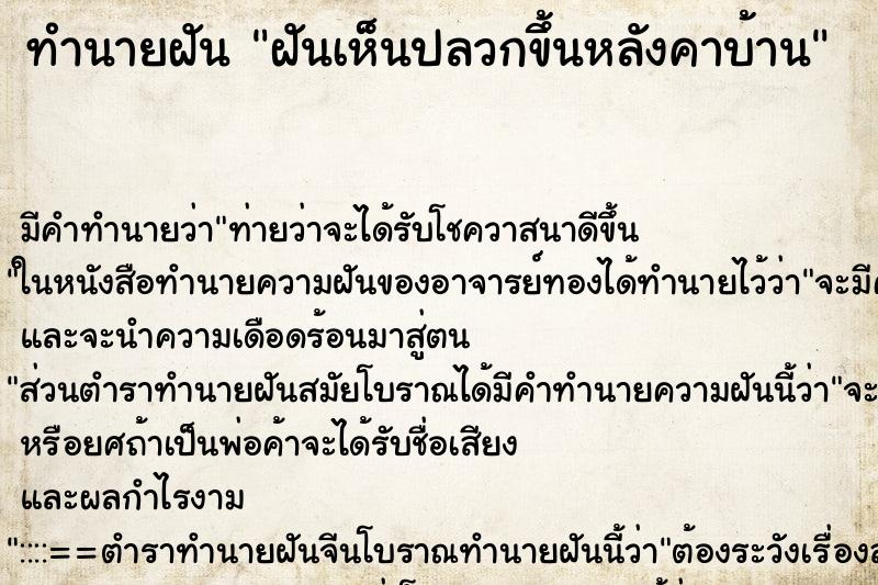 ทำนายฝัน ฝันเห็นปลวกขึ้นหลังคาบ้าน ตำราโบราณ แม่นที่สุดในโลก