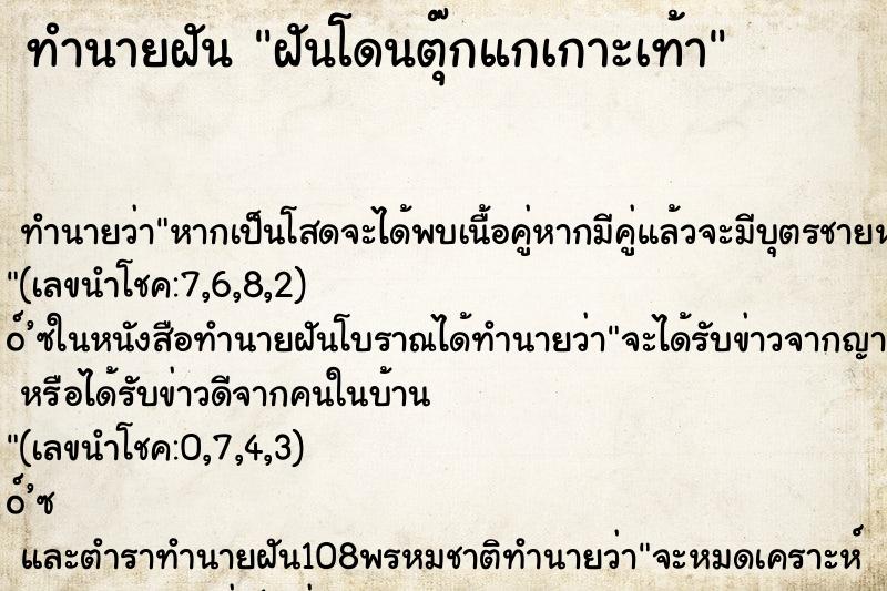ทำนายฝันฝันโดนตุ๊กแกเกาะเท้า ทำนายฝันทำนายฝันฝันโดนตุ๊กแกเกาะเท้า
