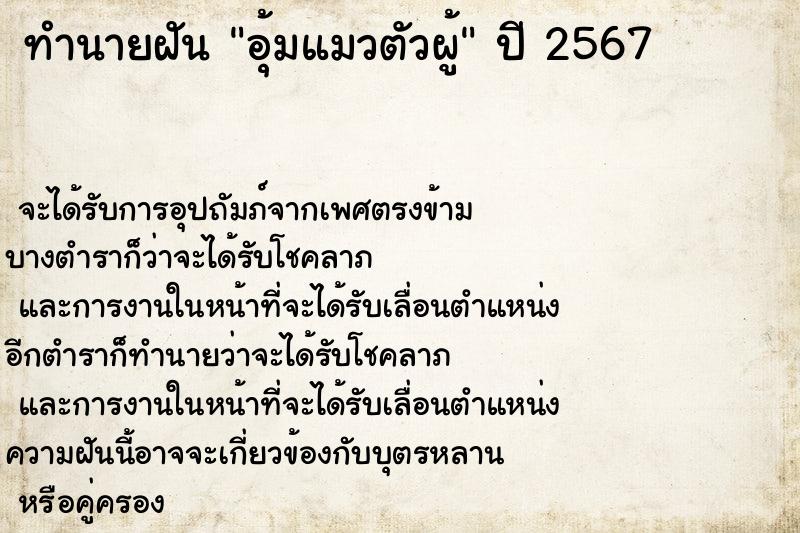 ทำนายฝันอุ้มแมวตัวผู้ ทำนายฝันทำนายฝันอุ้มแมวตัวผู้