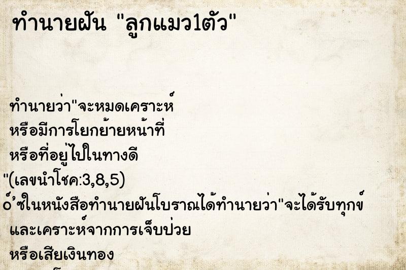 ทำนายฝัน ลูกแมว1ตัว ตำราโบราณ แม่นที่สุดในโลก