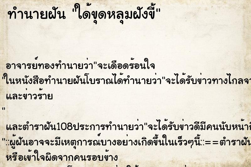 ทำนายฝัน ใด้ขุดหลุมฝังขี้ ตำราโบราณ แม่นที่สุดในโลก