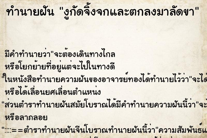 ทำนายฝัน งูกัดจิ้งจกและตกลงมาลัดขา ทำนายฝัน งูกัดจิ้งจกและตกลงมาลัดขา