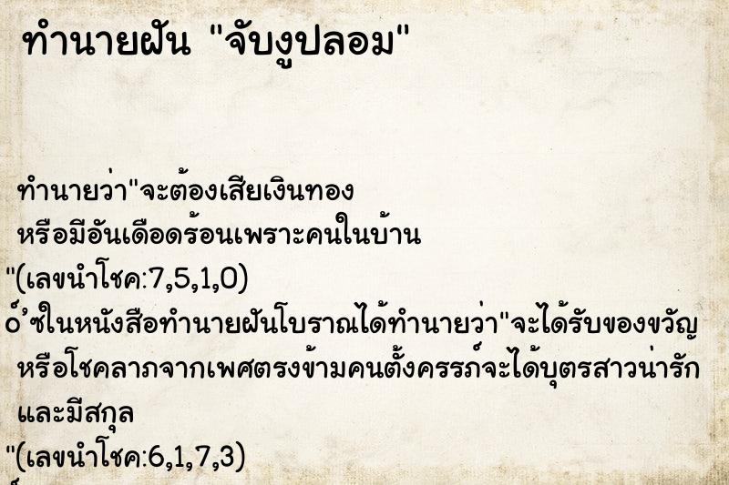 ทำนายฝันจับงูปลอม ทำนายฝันทำนายฝันจับงูปลอม