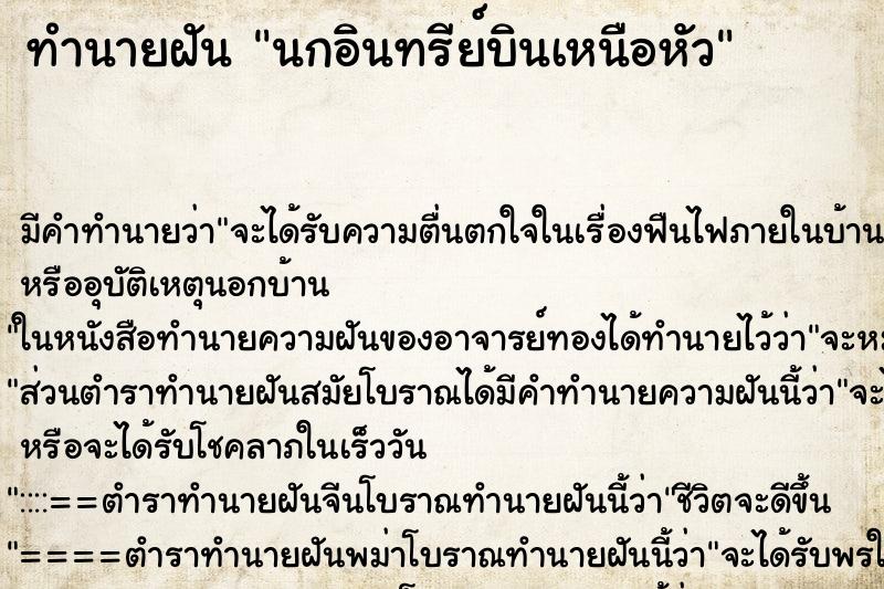 ทำนายฝันนกอินทรีย์บินเหนือหัว ทำนายฝันทำนายฝันนกอินทรีย์บินเหนือหัว