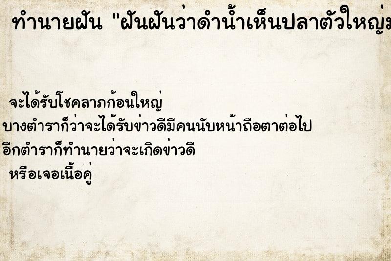 ทำนายฝัน ฝันฝันว่าดำน้ำเห็นปลาตัวใหญ่มาก ทำนายฝัน ฝันฝันว่าดำน้ำเห็นปลาตัวใหญ่มาก