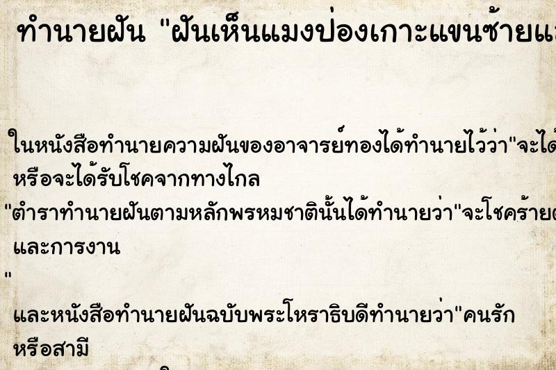 ทำนายฝันฝันเห็นแมงป่องเกาะแขนซ้ายแล้วก็หายไป ทำนายฝันทำนายฝันฝันเห็นแมงป่องเกาะแขนซ้ายแล้วก็หายไป