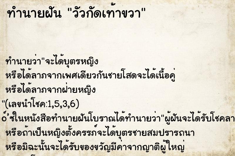 ทำนายฝัน วัวกัดเท้าขวา