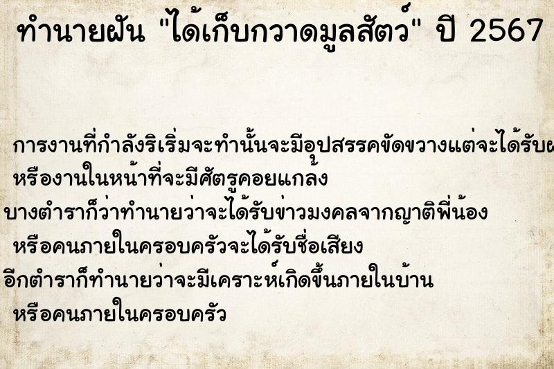 ทำนายฝันทำนายฝันได้เก็บกวาดมูลสัตว์