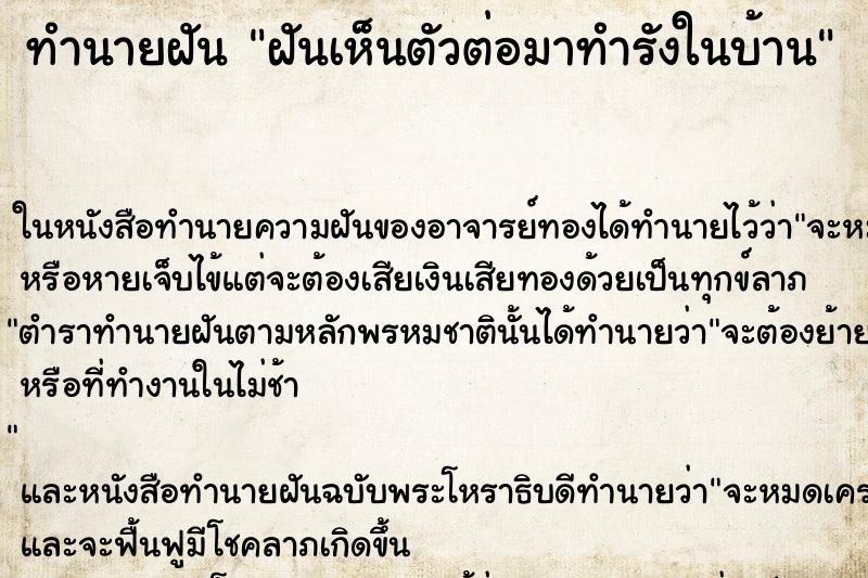 ทำนายฝันฝันเห็นตัวต่อมาทำรังในบ้าน ทำนายฝันทำนายฝันฝันเห็นตัวต่อมาทำรังในบ้าน
