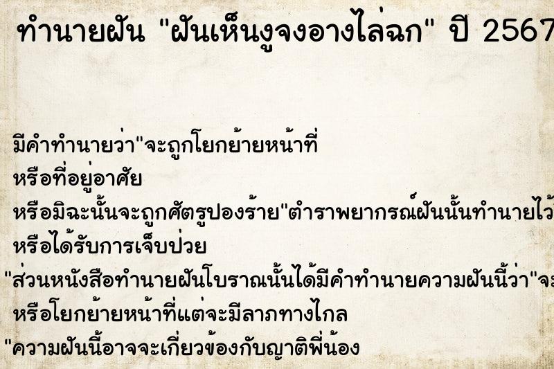 ทำนายฝันทำนายฝันฝันเห็นงูจงอางไล่ฉก