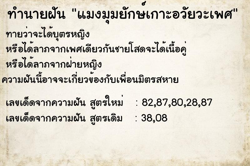 ทำนายฝันแมงมุมยักษ์เกาะอวัยวะเพศ ทำนายฝันทำนายฝันแมงมุมยักษ์เกาะอวัยวะเพศ
