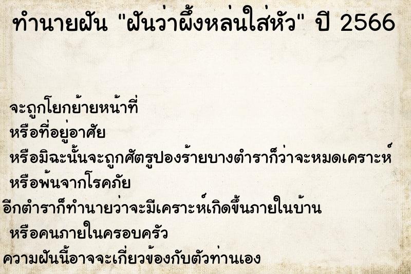 ทำนายฝันฝันว่าผึ้งหล่นใส่หัว ทำนายฝันทำนายฝันฝันว่าผึ้งหล่นใส่หัว