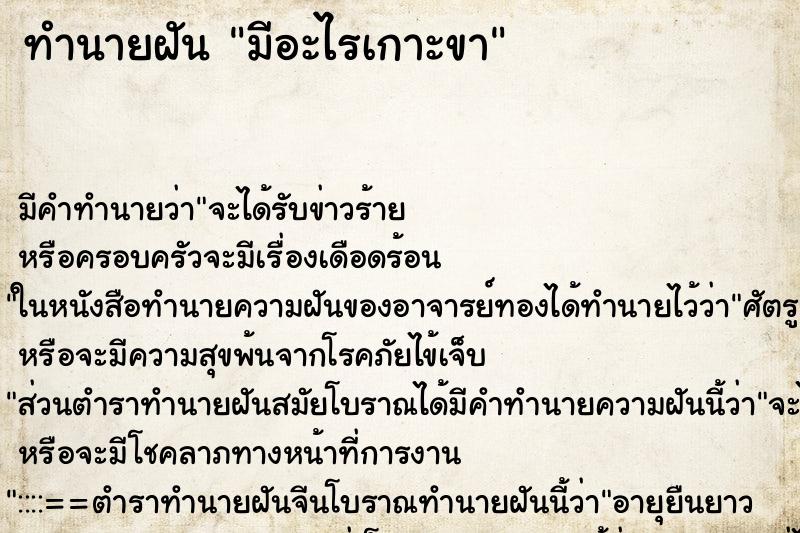 ทำนายฝันมีอะไรเกาะขา ทำนายฝันทำนายฝันมีอะไรเกาะขา