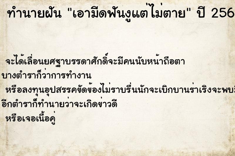 ทำนายฝันเอามีดฟันงูแต่ไม่ตาย ทำนายฝันทำนายฝันเอามีดฟันงูแต่ไม่ตาย