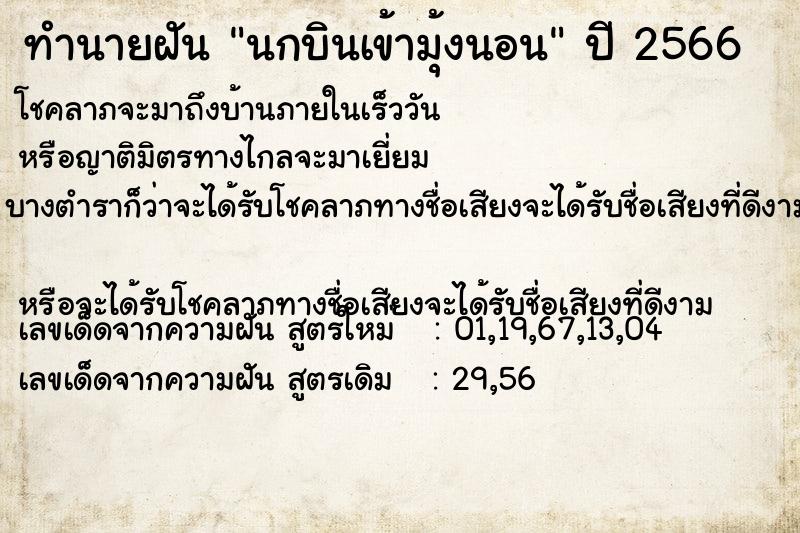 ทำนายฝันนกบินเข้ามุ้งนอน ทำนายฝันทำนายฝันนกบินเข้ามุ้งนอน