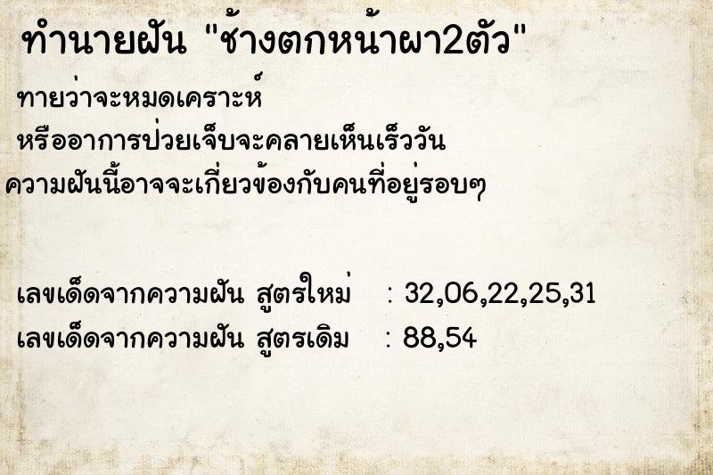 ทำนายฝัน ช้างตกหน้าผา2ตัว ทำนายฝัน ช้างตกหน้าผา2ตัว