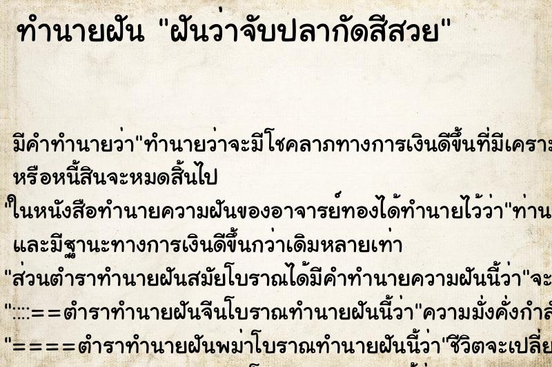 ทำนายฝัน ฝันว่าจับปลากัดสีสวย ทำนายฝัน ฝันว่าจับปลากัดสีสวย